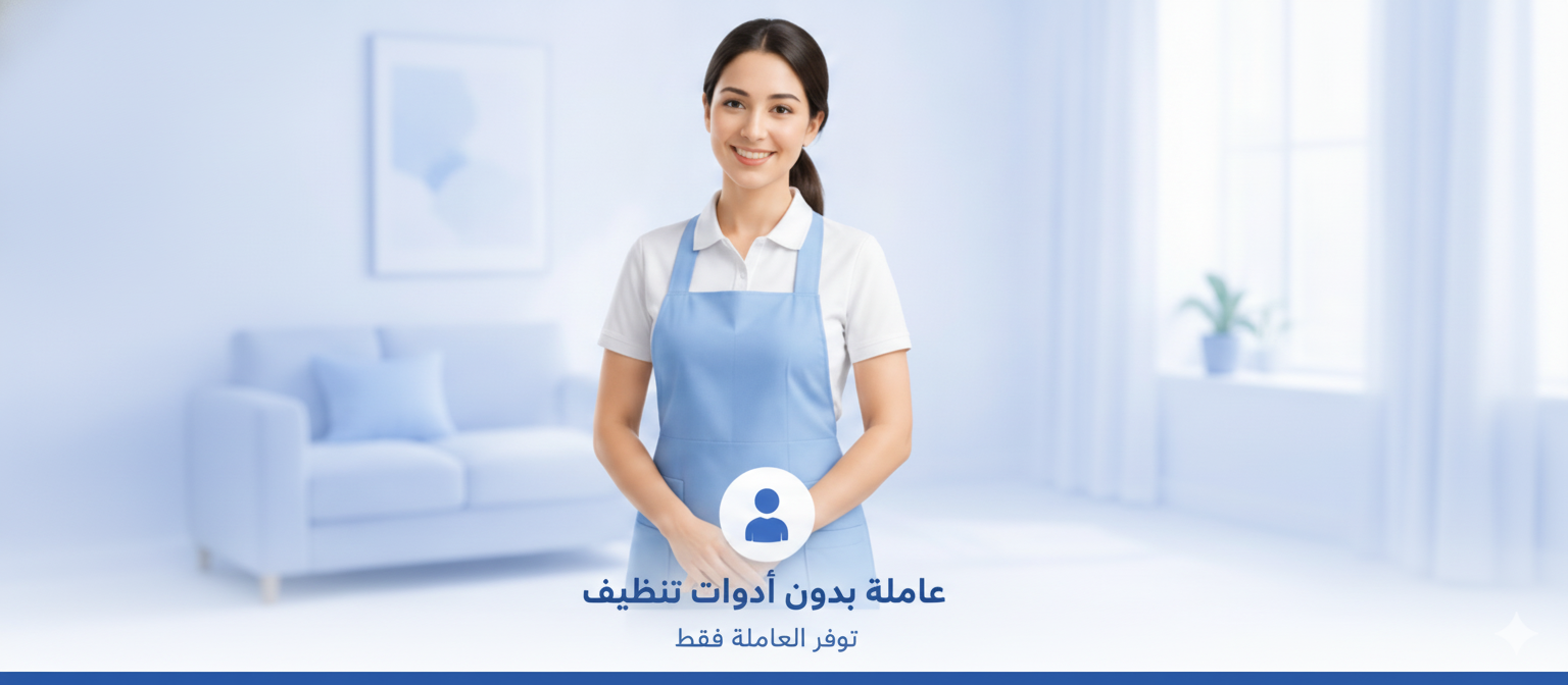 4 hours cleaning lady (without materials)